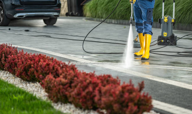 Best Spring Cleaning  in Premont, TX